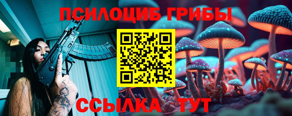 Галлюциногенные грибы ЛСД  закладка  Новокубанск  Вход с VPN 