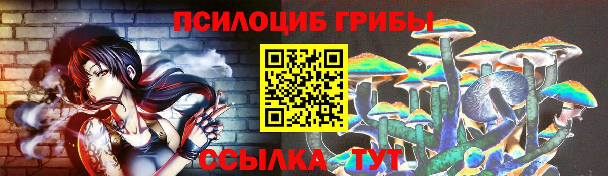 Галлюциногенные грибы Magic Shrooms Новокубанск